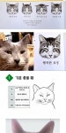 고양이의 행복한 표정
