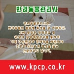 반려동물관리사 자격증 무료교육안내 - 2022