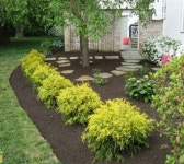 Front yard에 관한 11개의 최상의 Pinterest 이미지 | 작은 정원, 정원 가꾸기 및 앞마당 조경 Front yard