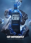 디자인 앱솔(Design ABSOL) | RAW • Absolut on Behance | 제품, 그래픽 디자인, 그래픽