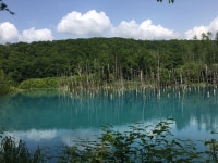 청의 호수(青い池, 아오이이케)