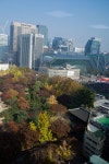 서울시청 서소문 별관 13층에서 바라본 덕수궁의 가을 | Korea, Seoul, South korea