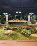 가든을 연출하였습니다. * Project : 서울식물원 카페 오아시스 * Client : 오아시스 * Type : Natural Plants * Location : 서울시 강서구... 