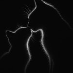 Gatti,gattini,gattoni에 있는 핀