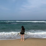 강릉 동해 바다 in 2020 | Beach, Outdoor, Poses