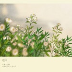 6,257 Likes, 55 Comments - Banzisu (@banzisu) on Instagram: “간만의 소식 🙏 요즘 저는 싱어송라이터 백아(@95_baek_a )님의... 