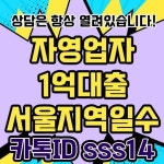 자영업자 1억대출서울지역일수