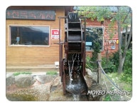 계룡한우 입구에서 본 물레방아 042-825-2144 | Road, Structures, Alley