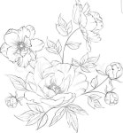 Design에 있는 Unknow box님의 핀 | 그리기 아이디어, 꽃 예술, 아트 드로잉