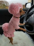 Animal에 관한 346개의 최상의 Pinterest 이미지 | 강아지, Softies 및 개와 고양이 Animal