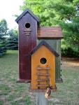 oiseaux에 관한 37개의 최상의 Pinterest 이미지 | 새집, 공예 및 새 oiseaux