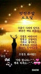 멋진 주말 저녁~