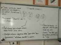 Dilbilgisi에 관한 26개의 최상의 Pinterest 이미지 | 터키어, 교육 및 문화 Dilbilgisi