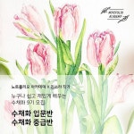 수채화 illustrator에 있는 핀
