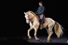 EQUUS에 관한 32개의 최상의 Pinterest 이미지 | 말, 승마 및 베르사유 궁전 EQUUS