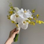 나인부케 꾸준히 인기인 호접과 온시디움 조합🤍💛 뒷쪽으로 카라를 풍성하게 넣어드렸어요☺️ #부케후기는_스토리하... 