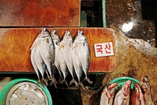 이박삼일 부산 - 디지털 아트, 포토그래피 | 디지털 아트, 아트