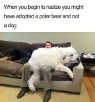funneh에 관한 294개의 최상의 Pinterest 이미지 | 웃긴 사진, 웃긴 것 및 Chistes funneh