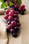 Pin page Art of Vibrant Color에 있는 Cardestam Arts님의 핀 - 2024