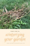 Gardening에 관한 13개의 최상의 Pinterest 이미지 | 채소 재배, 에디블 가든 및 정원 가꾸기 Gardening