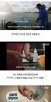주꾸미가 쏘아올린 작은 공??! Pin on 픽 유머/후기/썰