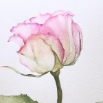 Pin page 해든(haedeun) on Instagram - 2024 | 그림, 수채화, 드로잉