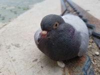 Pin on 그림책만들기