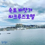청초호앞 풍경 - 2021 | 여행지, 크루즈, 호텔