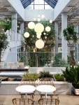 앤드테라스 카페 식물 색감 테이블 의자 인테리어와 조경 실내정원 조명 plant, and terrace, bakery cafe 앤드테라스 카페... 