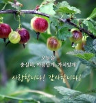 안부와 인사 ㅡ Greeting cards #greetingcards #안부인사카드에 있는 Mi Eun Kim님의 핀 - 2023