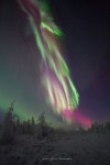 Aurora | 오로라