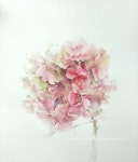 수채화 illustrator에 있는 핀