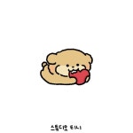 털뭉이들☁️ 하트냠냠 브니❤️ 스튜디오 티니 | 털뭉이들 on Instagram‎: 사랑에 빠져버린 #털뭉이들 ˚₊· ͟͟͞͞➳ ❥ ૮... 