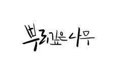 뿌리깊은 나무 | 나무