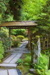 japanese gardens dallas #japanesegardens #japanesegardendesign #JapaneseGardening | 정원 인테리어, 조경, 정원 아이디어