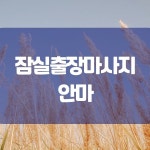 잠실출장마사지 in 2021 | Company logo, Tech company logos, Ibm logo