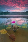 Nature에 관한 61개의 최상의 Pinterest 이미지 | 배경화면, 아름다운 장소 및 석양 Nature