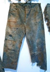 levis 1873 | 남자 청바지