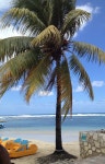 Jamaica에 관한 50개의 최상의 Pinterest 이미지 | 캐리비안, 여행 및 자메이카 Jamaica