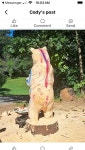 Pin page Carving Bears에 있는 Beaverly Trails님의 핀