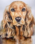 Lafi_lolo on Instagram: #반려동물초상화 #고양이초상화 #강아지초상화 #손그림 #주문제작 #수채화 #petportrait #강아지그림... 