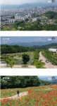 외국에서 예약하고 찾아온다는 경남 함양 할머니 민박집