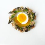 Eggs에 관한 63개의 최상의 Pinterest 이미지 | 간식, 부엌 및 아침식사 Eggs