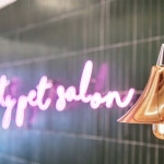 애견 카페인테리어 pet cafe interior - 2020 | 인테리어, 카페 인테리어, 애견