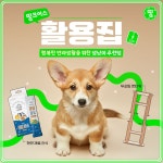 #띵크어스 #활용집 ⠀ 봄바람에 설레는 건 우리... 띵크어스 펫 관련 콘텐츠들을... - 2023 | 프로모션 배너, 배너, 행복한 #띵크어스 #활용집... 