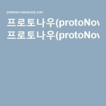 프로토나우(protoNow)