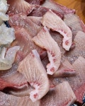 내가 다 먹어야지🐟 대구 3대 방어 맛집 중 하나인 형제수산을 소개합니다! 기름지면서 부드럽고 쫄깃한 방어를 원한다면 바로 방어 맛... 