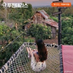 [제주항공 할인/이벤트] 11월~2월, 마이트립은 치앙마이! 숨겨진 매력이 가득한 태국의 북부, 치앙마이! 11월~2월 여행 최적기! 11월 11일 부터... 