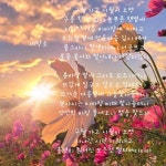poet by 세탁소 - 2020 | 세탁소