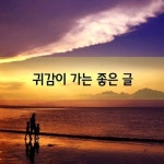 주부상식 - ◈ 세탁소가 필요 ... : 카카오스토리 | 운동화